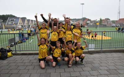 Het avontuur van de D3
